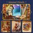 Book Nook Biblioteca magica T-TQ134 Tonecheer 4