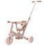 Triciclo 4 in 1 rosa LD6080-PINK Little Dutch 6