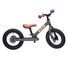 Bici senza pedali 2 in 1 grigio opaco TBS-3-ANTM Trybike 5
