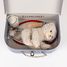 Valigia veterinaria Romy il gatto EG570118 Egmont Toys 3