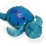 Veilleuse Tartaruga Tranquilla - Bleu Aqua CloudB-7423-AQ Cloud b 2