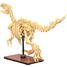 Scheletro di Velociraptor 256 pezzi C59014W CaDA 2