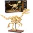 Scheletro di Velociraptor 256 pezzi C59014W CaDA 4