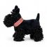 Walter il cane in peluche 17 cm EG130618 Egmont Toys 2