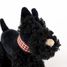 Walter il cane in peluche 17 cm EG130618 Egmont Toys 4