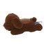 Peluche con proiettore di stelle Barboncino Cloudb-7472-PD Cloud b 1