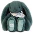 Peluche Coniglio Fleurette verde 35 cm DC4305 Doudou et Compagnie 1