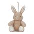 Peluche coniglio musicale e luminosa LD8441 Little Dutch 1
