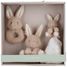 Set regalo Baby Bunny LD8859 Little Dutch 1