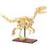 Scheletro di Velociraptor 256 pezzi C59014W CaDA 1