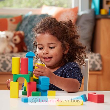 100 blocchi di legno MD10481 Melissa & Doug 2