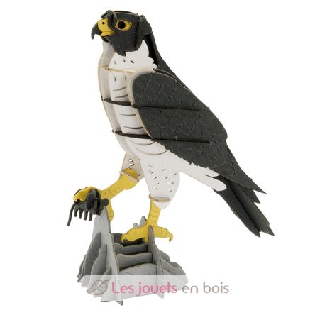 Modello 3D in carta falco FRI-11766 Fridolin 1