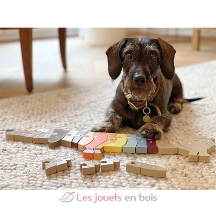 Puzzle di lettere Cane LE12413 Small foot company 2