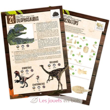 Scatola a sorpresa Dino BUK2135 Buki France 4