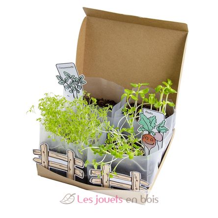 Coffret Mini Potager RC-034139 Radis et Capucine 5