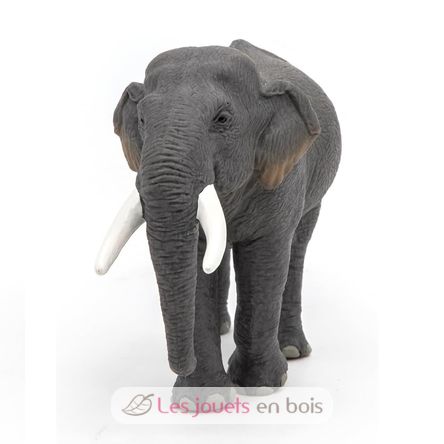 Figurina di elefante asiatico PA50131-2928 Papo 3