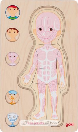 Puzzle del corpo umano, ragazzo GK57361 Goki 4
