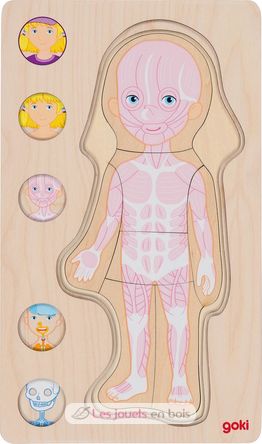 Puzzle del corpo umano, ragazza GK57362 Goki 3