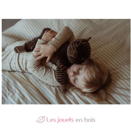 Peluche gatto appesantito 1,2 kg As-84684 ByAstrup 4