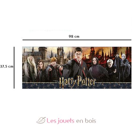 Puzzle Harry Potter 1000 pezzi N87642 Nathan 2