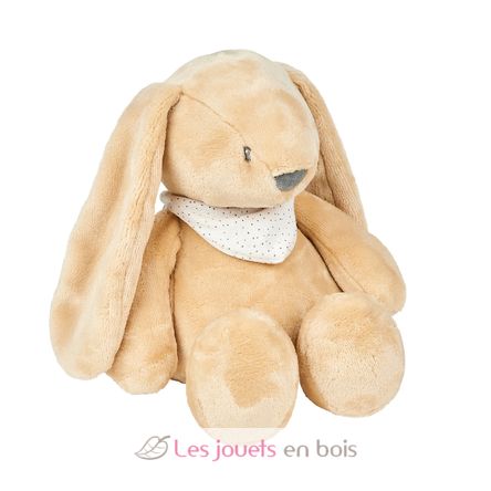 Luce Notturna Peluche Coniglio Sleepy NA876551 Nattou 1