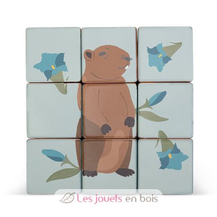 Carretto con cube puzzle animali SE87857 Sevi 6