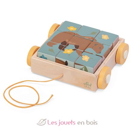Carretto con cube puzzle animali SE87857 Sevi 1
