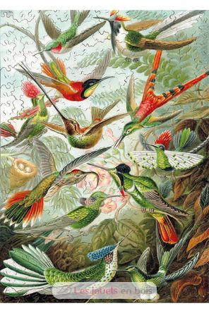 I colibrì HAECKEL WA539-500 Puzzle Michèle Wilson 3