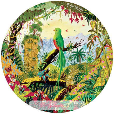 Quetzal splendente di Alain Thomas A874-250 Puzzle Michèle Wilson 2