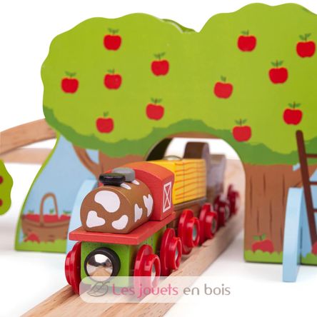 Set trenino con fattoria BJT036 Bigjigs Toys 3