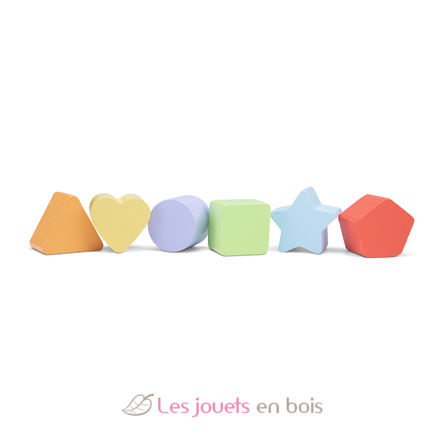 Camion con le forme NCT10564 New Classic Toys 5