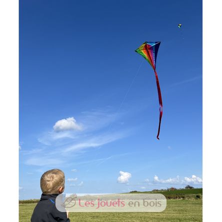 Aquilone in poliestere Classic GU-1119 Günther 4