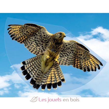 Aquilone Falco GU1230 Günther 3