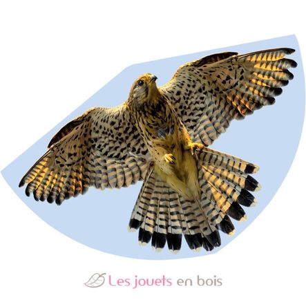 Aquilone Falco GU1230 Günther 1