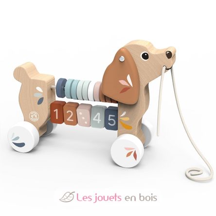 Cane trainabile SM-SP1050 Speedy Monkey 1