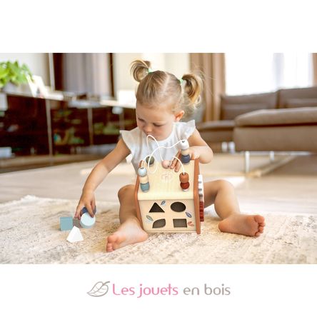 Cubo attività 5 in 1 SM-SP1020 Speedy Monkey 7