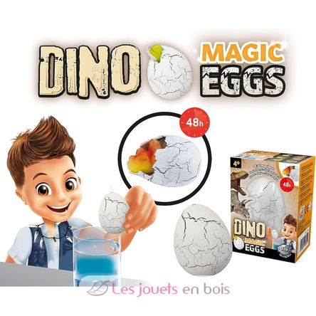 Uovo magico BUK-D6G Buki France 3
