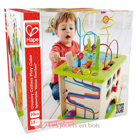 Cubo di attività HA-E1810 Hape Toys 6