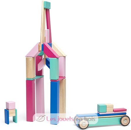 Set di 42 pezzi Blossom TG-42P-BSM-607T Tegu 9