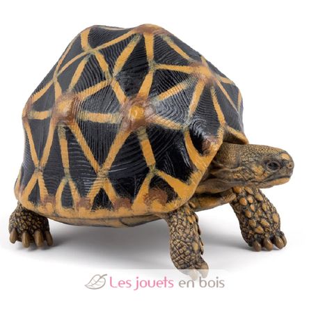 Statuetta di tartaruga stellata PA-50333 Papo 1