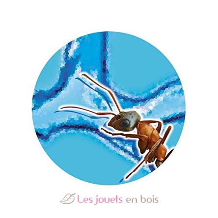 Mini mondo delle formiche BUK-FS4206 Buki France 4