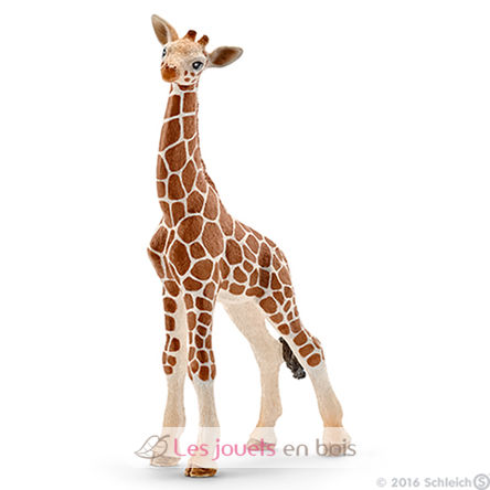 Baby Giraffa SC14751 Schleich 1