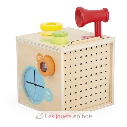 Scatola sensoriale J05307 Janod 5