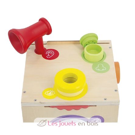 Scatola sensoriale J05307 Janod 6