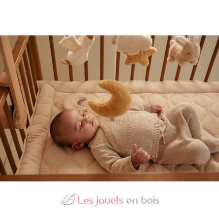 Giostrina musicale Newborn LD8400 Little Dutch 9
