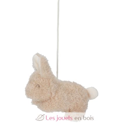 Giostrina musicale Newborn LD8400 Little Dutch 4