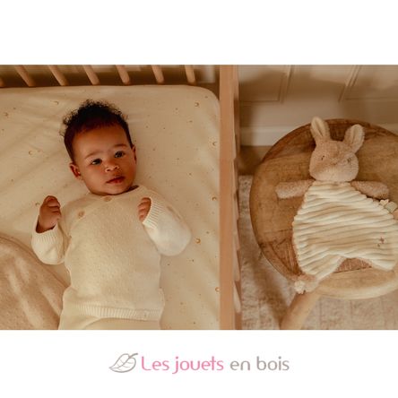 Panno coccole coniglio Newborn LD8402 Little Dutch 4
