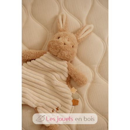 Panno coccole coniglio Newborn LD8402 Little Dutch 3