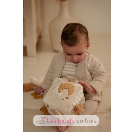 Cubo attività morbido Newborn LD8409 Little Dutch 12
