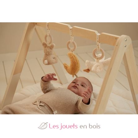 Arco da gioco in legno Newborn LD8410 Little Dutch 9